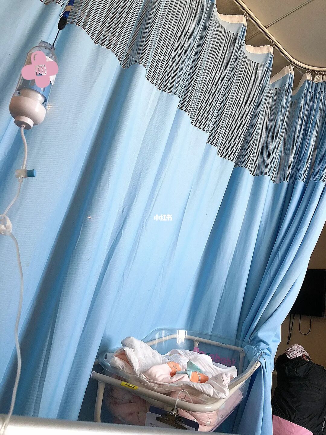 刨腹产后感冒咳嗽还可以母乳吗_剖腹产后感冒咳嗽怎么办_产妇感冒咳嗽可以喂母乳吗