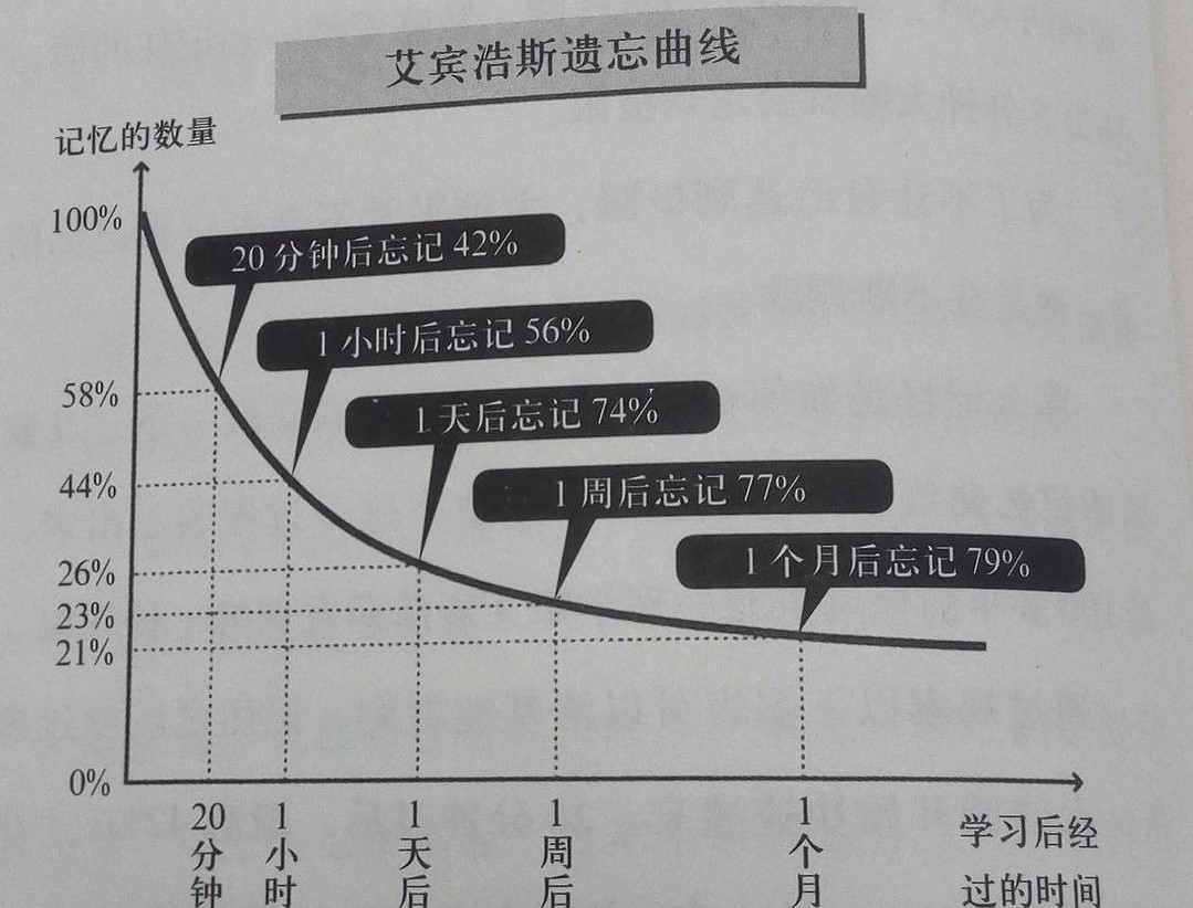 load previous values_load previous values_load previous values