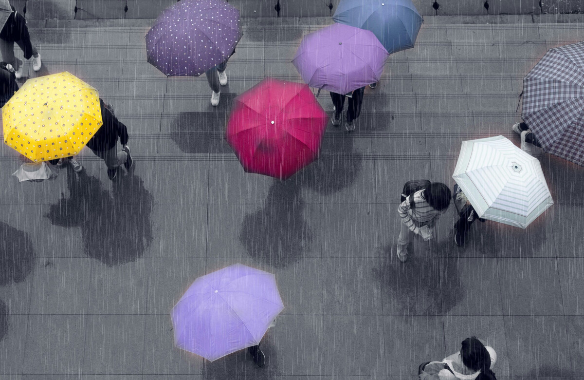 雨木林风和深度哪个好_得得一键chong装机官网_雨木林风一键装机失败
