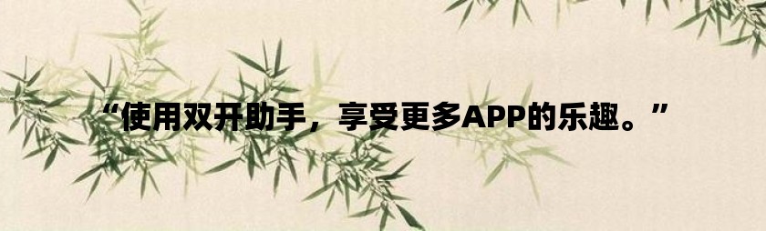 系统软件erp_x98双系统_系统小说