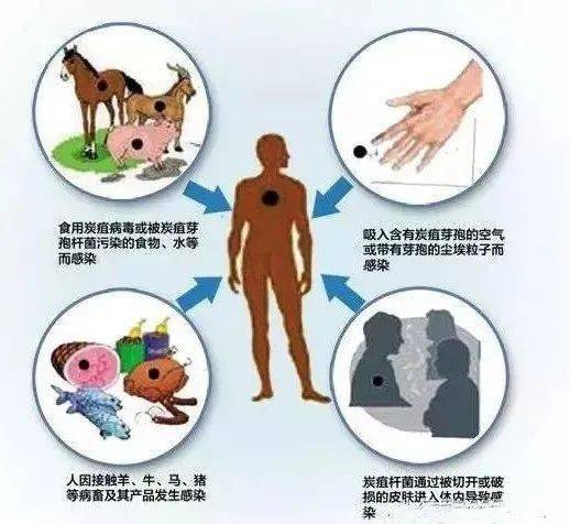 犇牛病毒如何攻击电脑_犇牛病毒安装瑞星_犇牛病毒现在还有吗