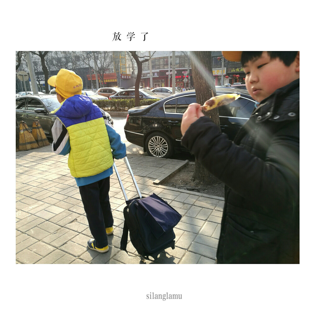 悸悸_悸的拼音_悸