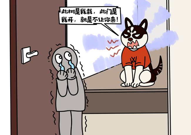 狗狗肛门失禁症状_狗狗肛门失禁_狗狗肛门闭锁怎么办