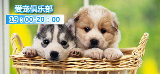 狗狗币怎么转到tp钱包_狗狗币转出到imtoken_狗狗币钱包导入私钥