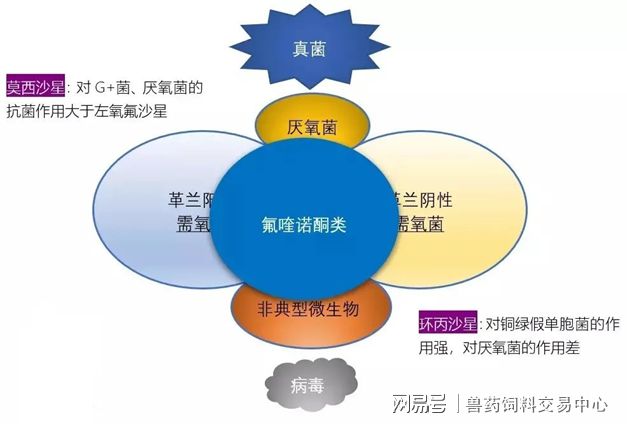 肺炎克雷杆菌白细胞高_肺炎克雷杆菌白细胞偏高_肺炎克雷白杆菌