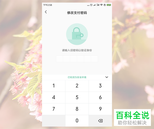 tp钱包密码忘了_tp钱包密码怎么修改_tp钱包如何修改密码