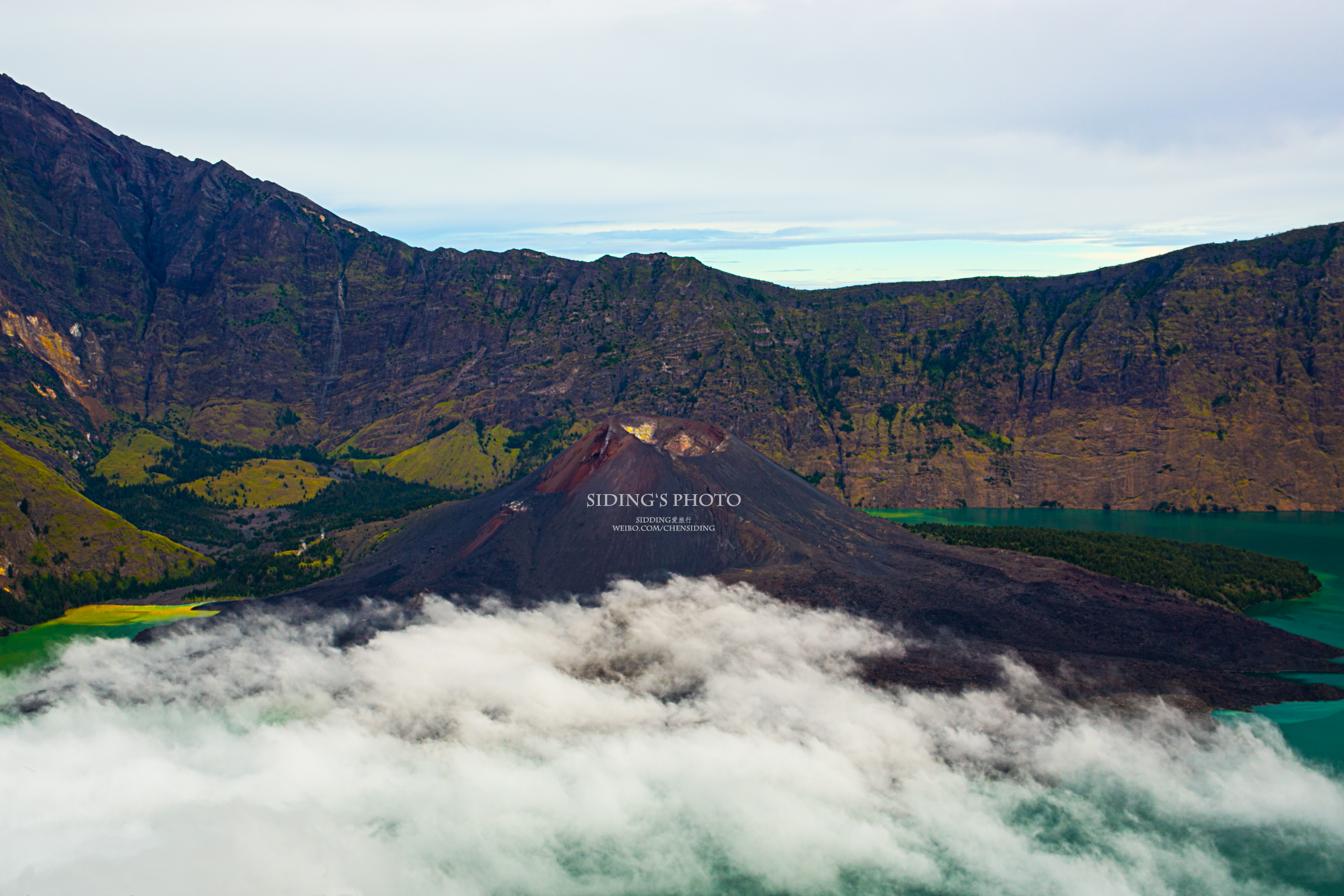 风林火山 麦浚龙_msj风林火山_麦浚龙风林火山什么时候上映