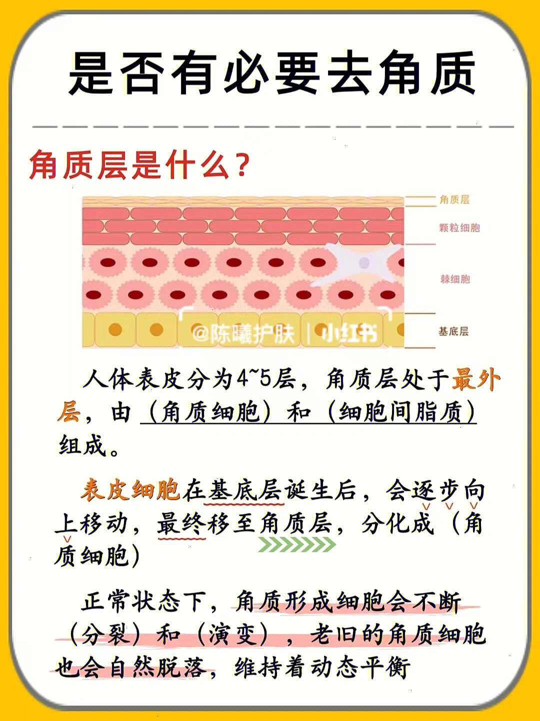 imtoken英文怎么读_英文读音在线发音_英文读后感