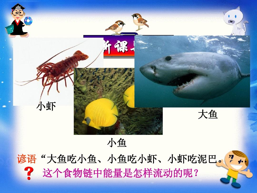 ecosystem造句_造句大全集_造句四海为家二年级