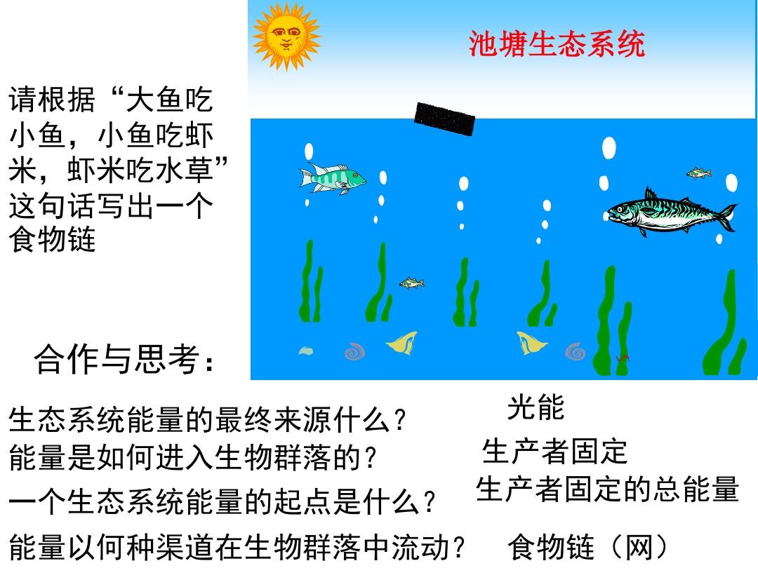 造句大全集_ecosystem造句_造句四海为家二年级