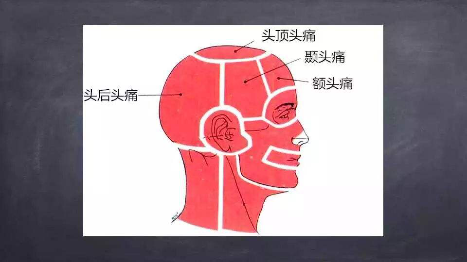 头疼_感冒头疼怎么办_头疼恶心想吐是怎么回事