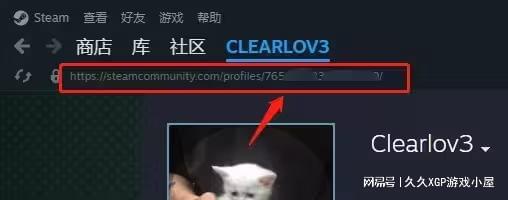 gtaiv缺少xlive.dll_缺少的拼音_缺少维生素d会出现什么症状