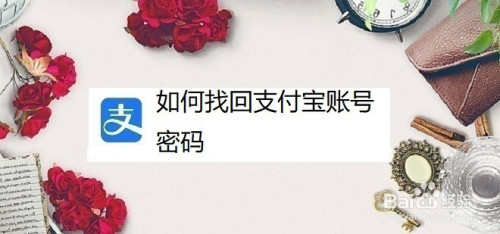tp钱包只记得密码怎么办_忘记钱包锁密码怎么办_钱包的密码忘了怎么办