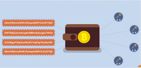 tp钱包是哪个公司开发的_什么是钱包公司_tp钱包开发团队