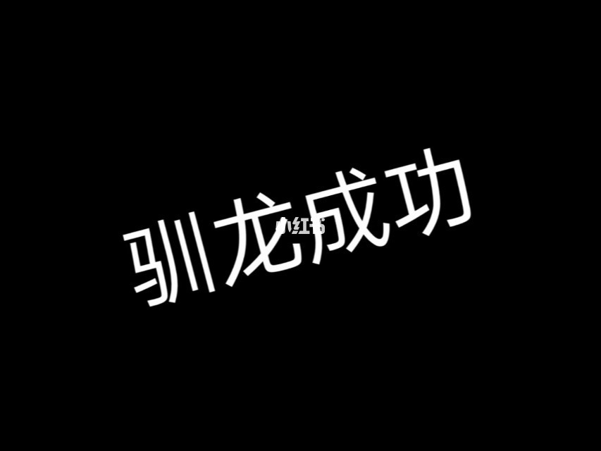 恢复训练图片_训龙恢复软件下载_恢复龙如何进化