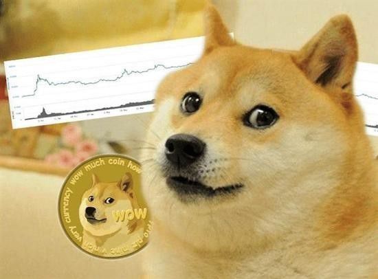 狗狗币钱包怎么转出_狗狗币怎么转到tp钱包_狗狗币钱包dogecoin