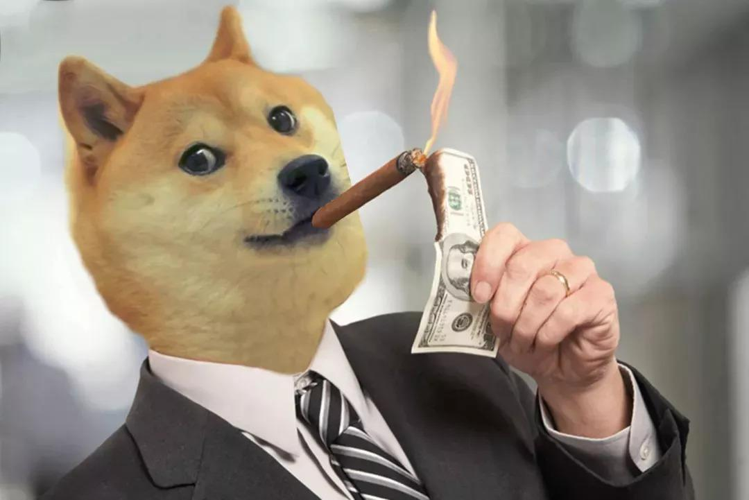 钱包里的狗狗币怎么卖_tp钱包放狗狗币_狗狗币钱包容易被盗币吗