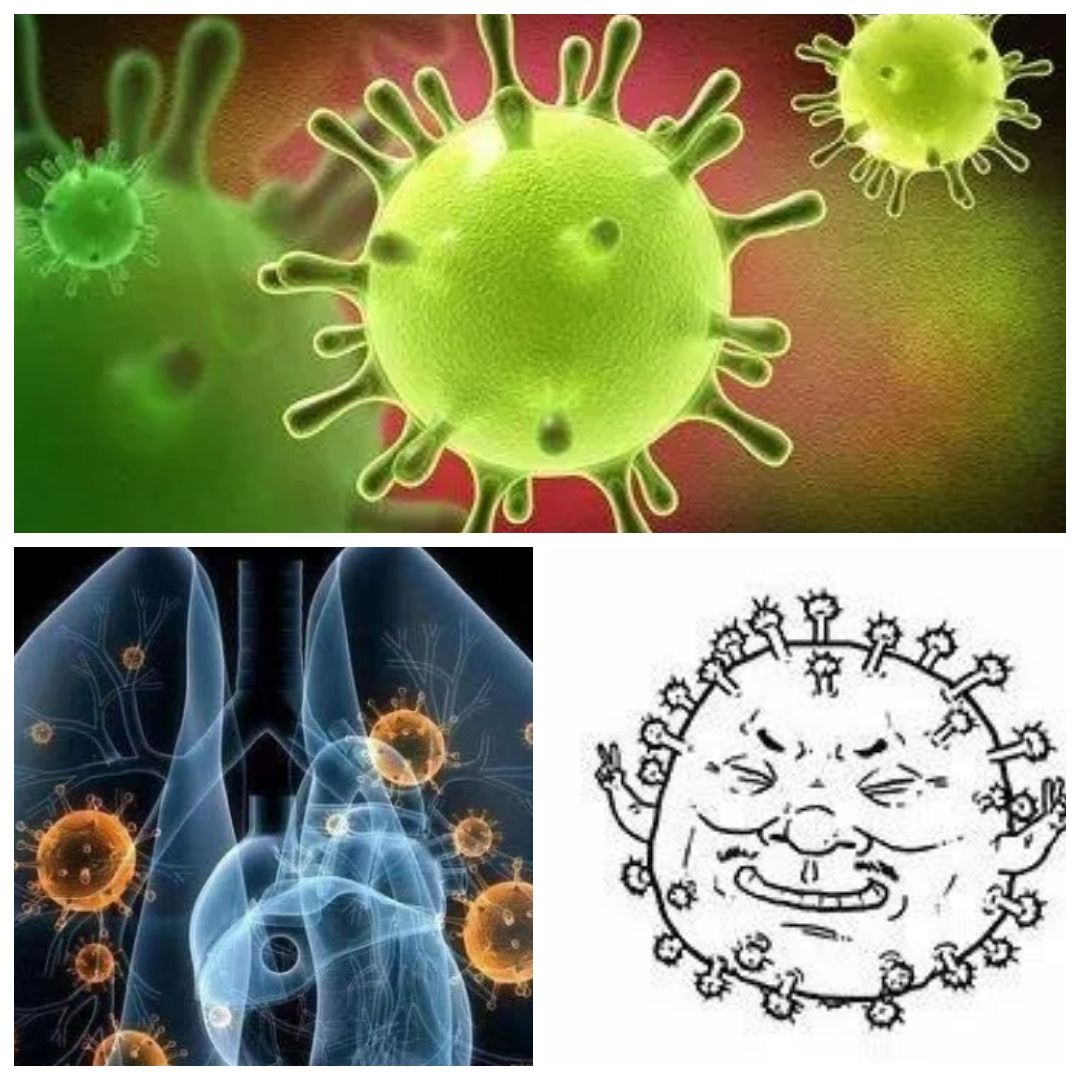 犇牛病毒症状_牛病毒性疾病有哪些_牛病毒感染的早期症状