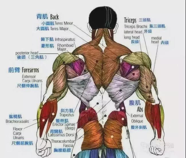 前胸后背疼 前胸还有红色小肿块_前胸后背疼红色肿块小腹疼痛_前胸后背疼起红色疙瘩