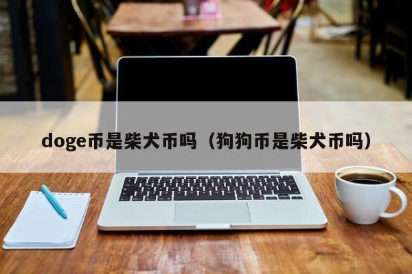 狗狗币钱包dogecoin_存狗狗币的钱包_狗狗币怎么存入tp钱包