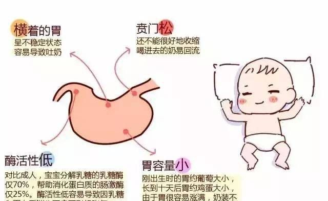 新生婴儿吃完奶后打嗝_新生婴儿奶完打嗝吃后多久排便_新生儿吃完奶打嗝好久