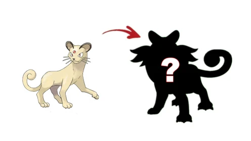超级猫_猫超级英雄_猫超级密码