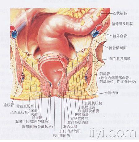 肛门漏气可以自愈吗_肛门轻度失禁肛门漏气_肛门轻度漏气失禁严重吗