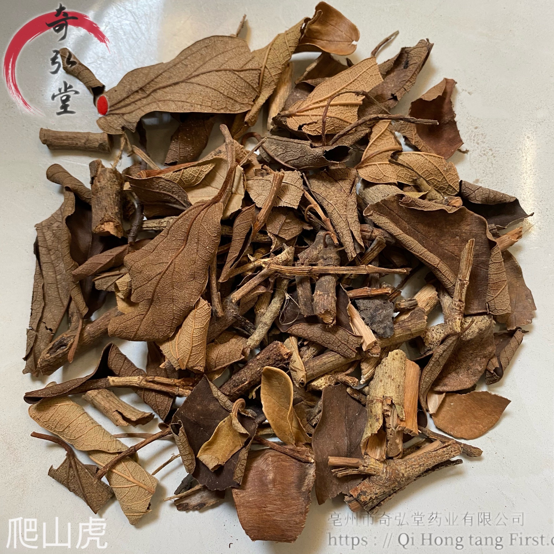 搜山虎别名叫什么_搜山虎别名与功效_搜山虎别名
