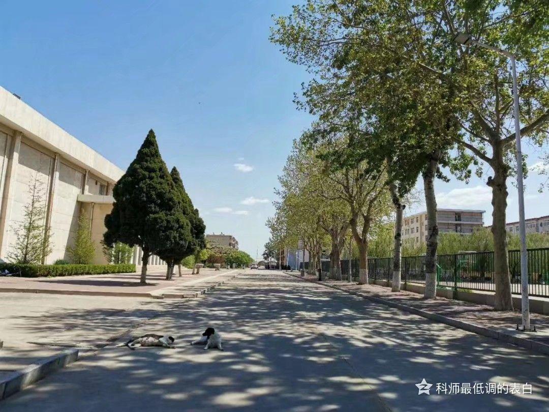 河北师范中等职业学校_河北职业师范学院官网_河北师范职业技术学院官网