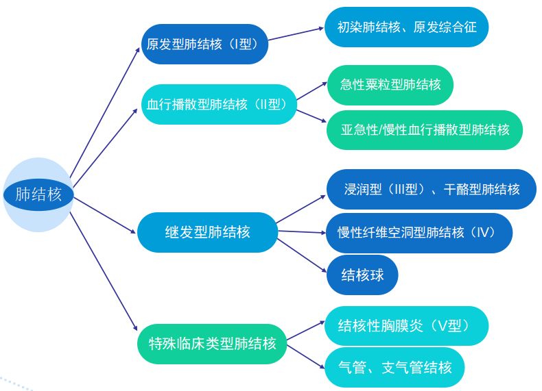 肺结核自愈后还会得吗_三型肺结核会自愈吗_肺结核自愈型会传染人吗