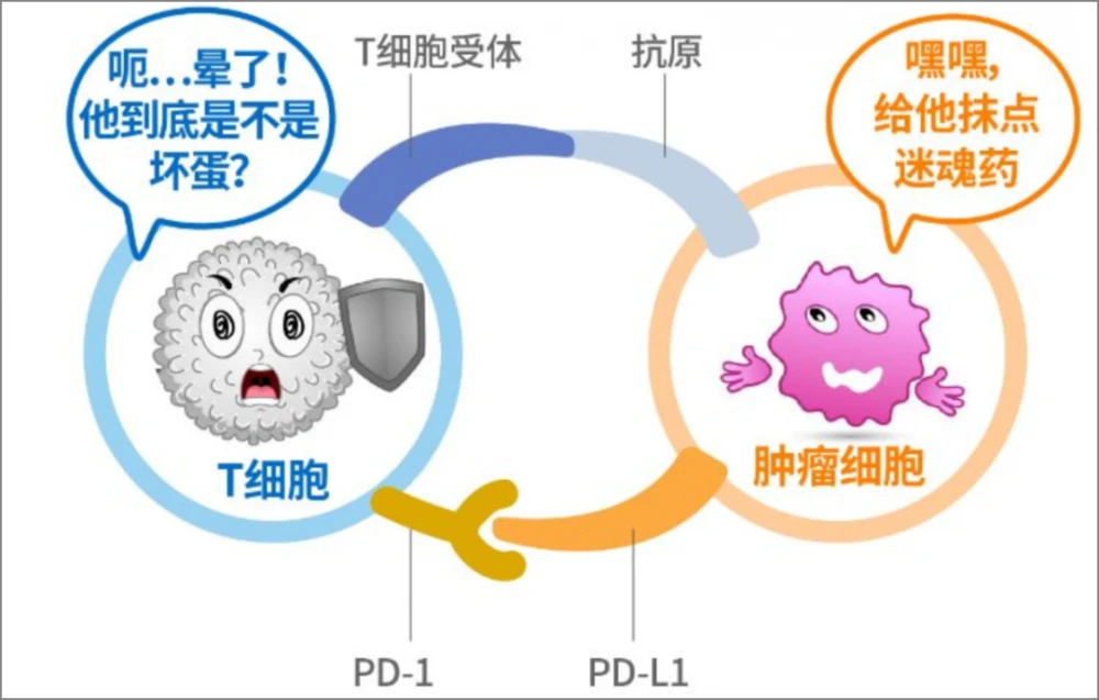 恒瑞医药_恒瑞医药股票股吧_恒瑞 pd l1