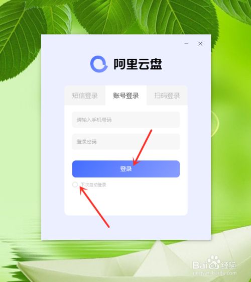 登录云盘百度电脑怎么登录_百度云盘电脑端登录_电脑百度云盘登录不了