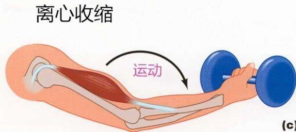 肛门漏气可以自愈吗_肛门轻度失禁肛门漏气_肛门漏气有治好的病友吗
