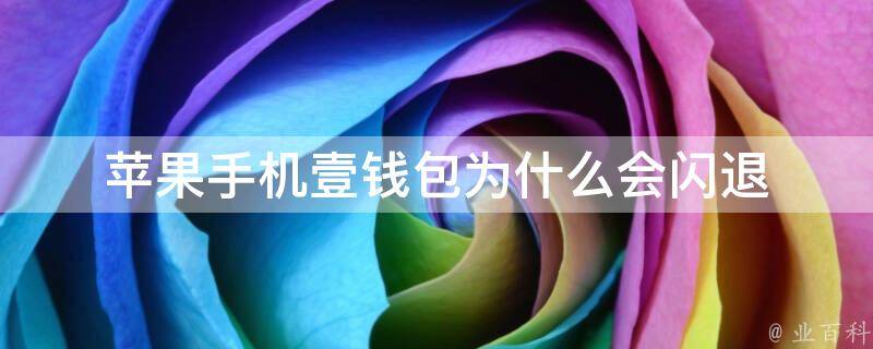钱包币是啥_tp钱包自定义代币闪退_chia钱包闪退