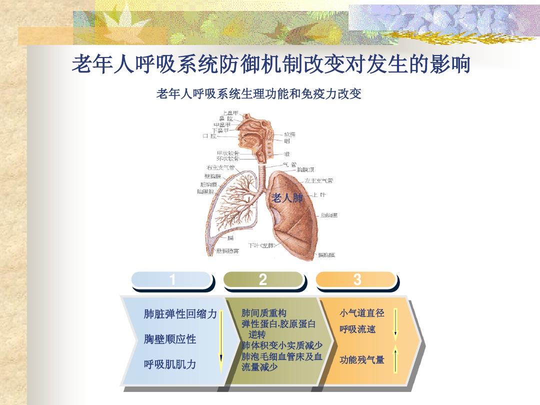 老年人肺炎吃什么好_肺炎老人吃什么好_肺炎老年吃好人参有用吗