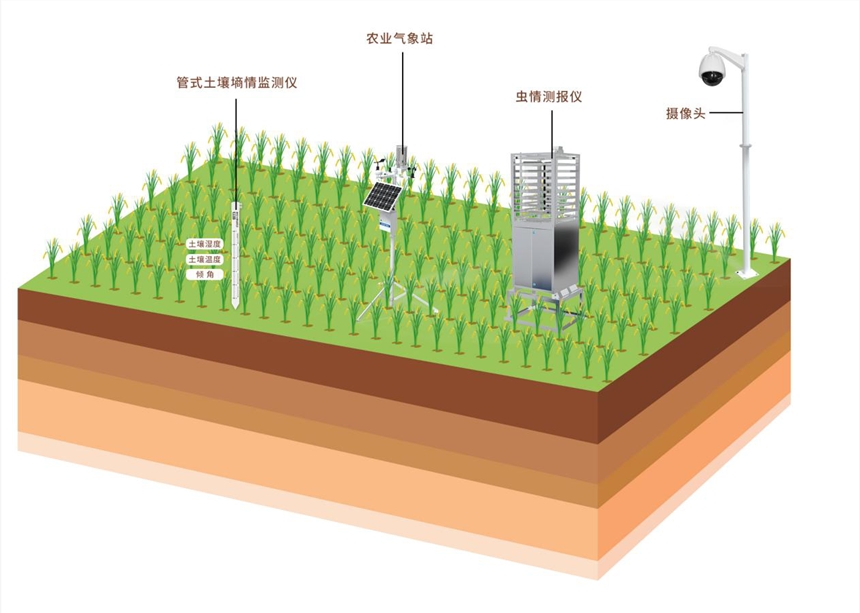 ecognition内存_内存不足怎么清理手机_内存清理