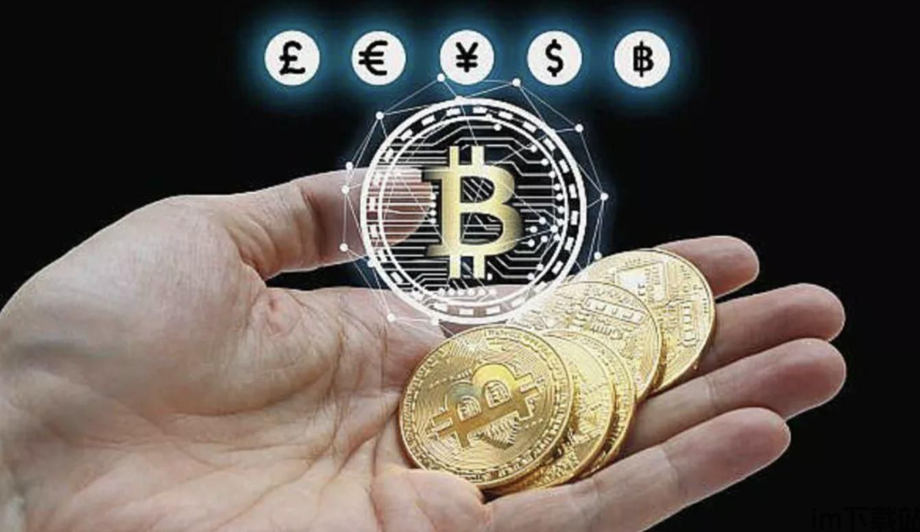 tp钱包怎么添加_钱包添加不了银行卡_钱包添加银行卡显示卡片无效