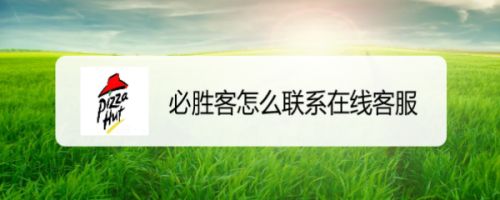 TP钱包有客服吗_钱包客服是什么_钱包的客服电话是多少