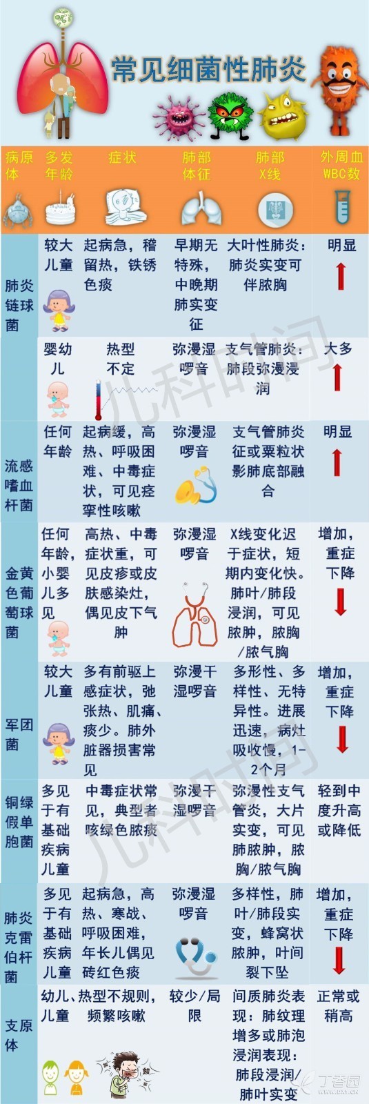 肺炎克雷白杆菌肺炎影像学特征_克雷白杆菌肺炎痰液颜色_肺炎克雷白杆菌肺炎