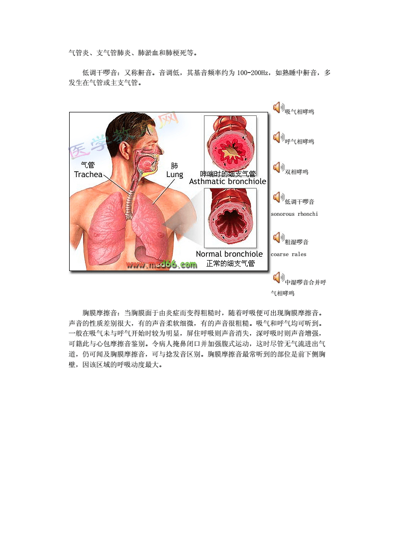 沥白洗肺含片有用吗_沥白洗肺含片官网_沥白洗肺含