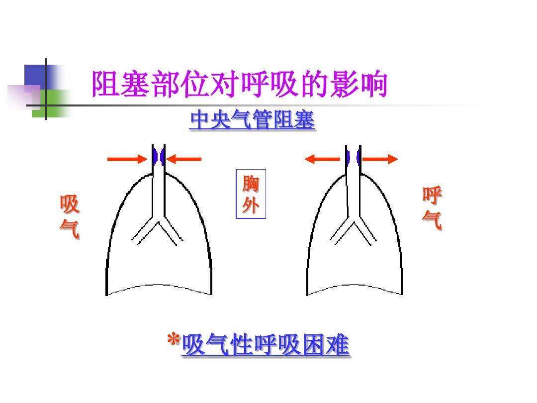 沥白洗肺含_沥白洗肺含片有用吗_沥白洗肺含片官网