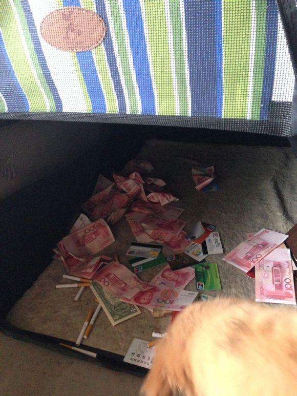 tp钱包创始人付盼是不是被抓_盼盼钱包_盼盼钱包贷款