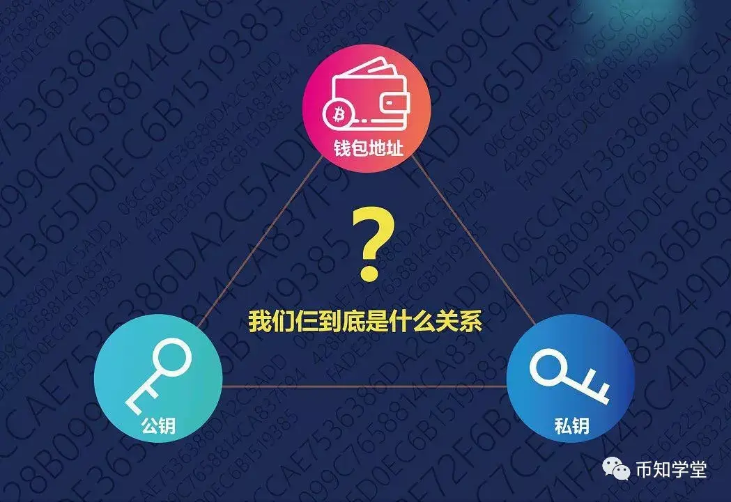 钱包token_imtoken钱包是什么手_imtokeneos钱包