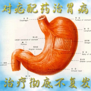 中医辨证论治胃病_中医胃病论坛一_治胃病的中医讲座
