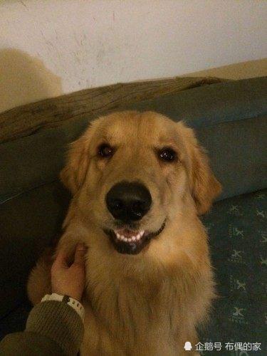 狗狗币怎么转到tp钱包_狗狗币钱包转账_狗狗币钱包怎么转出