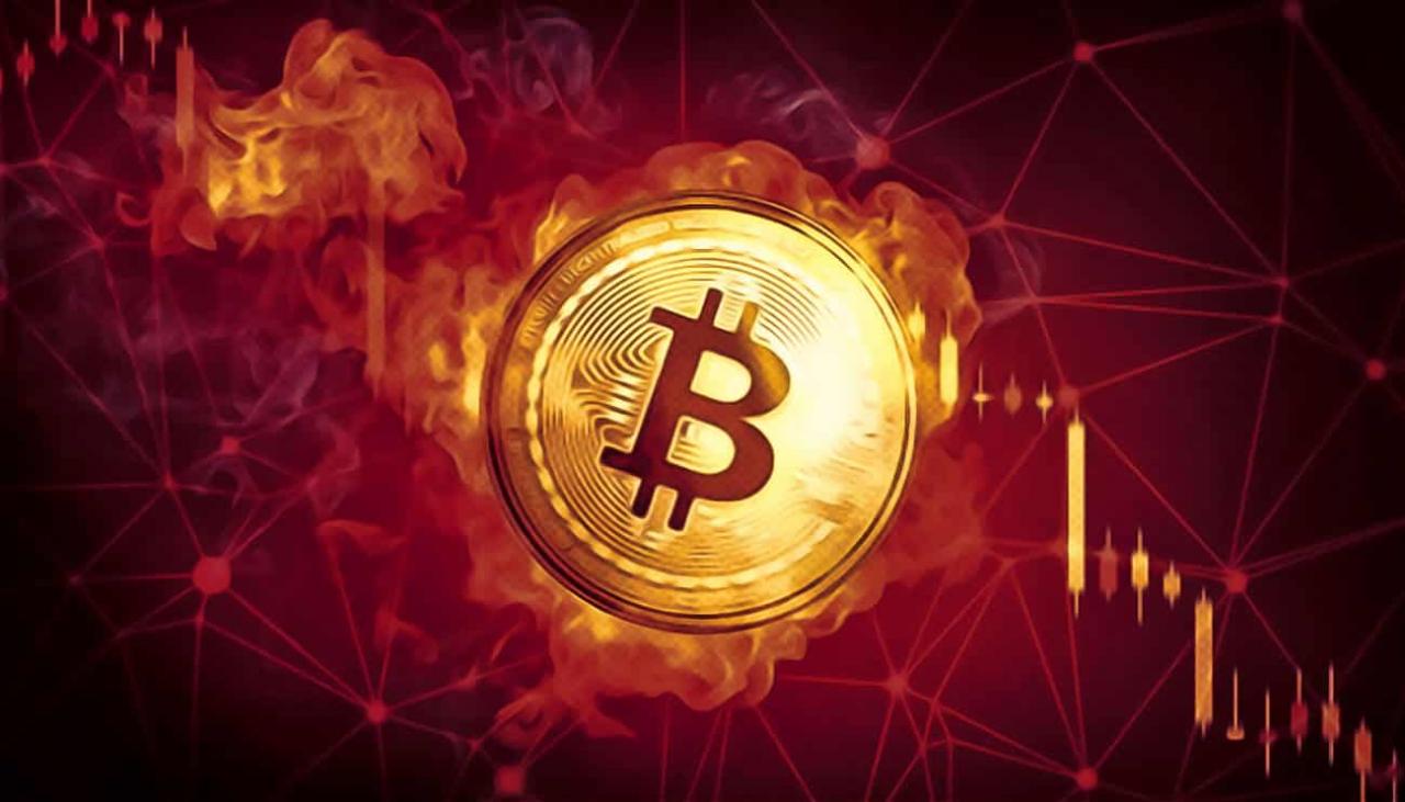 tp钱包可以存狗狗币吗_狗狗币如何存入钱包_存狗狗币的钱包
