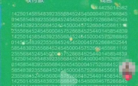 钱包金额图片_tp钱包金额不对_钱包金额怎么隐藏