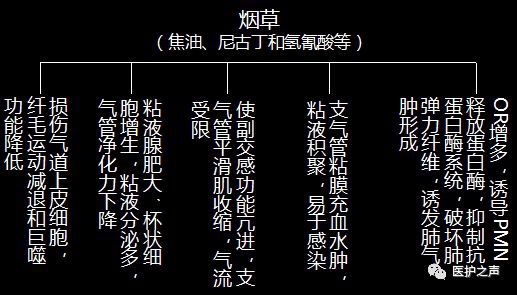 为什么会突然哮喘_哮喘会突然出现吗_哮喘突然发作是什么原因