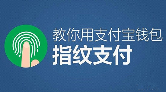 tp钱包网络选择_tp钱包网络设置_tp钱包设置gas