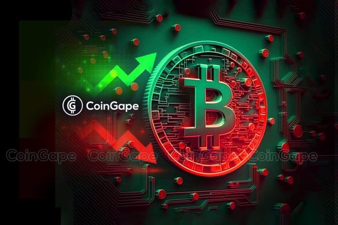 如何下载tp钱包视频_钱包的视频_钱包app下载